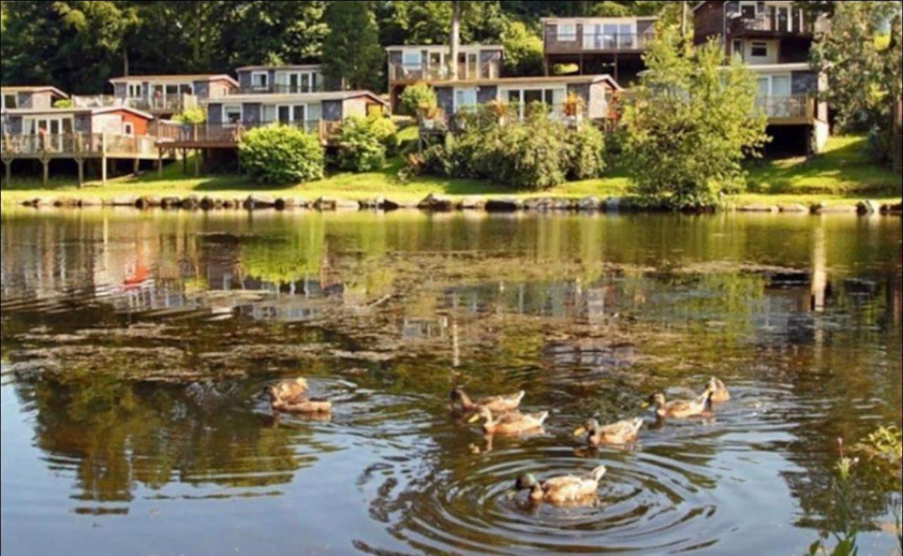 18 River View Chalet-Glan Gwna Holiday Park Κερνάρφον Εξωτερικό φωτογραφία